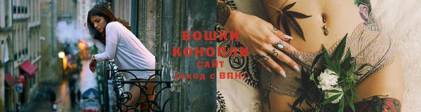 МДПВ Елизово