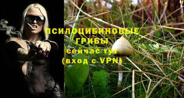 MDMA Ельня