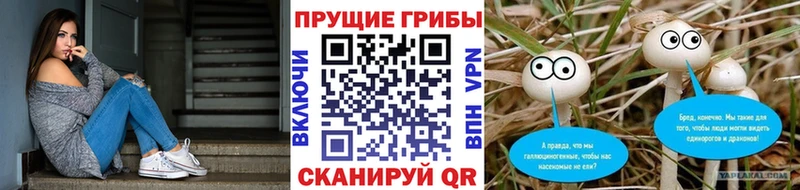 купить   блэк спрут маркетплейс  Галлюциногенные грибы Psilocybine cubensis  Малаховка 